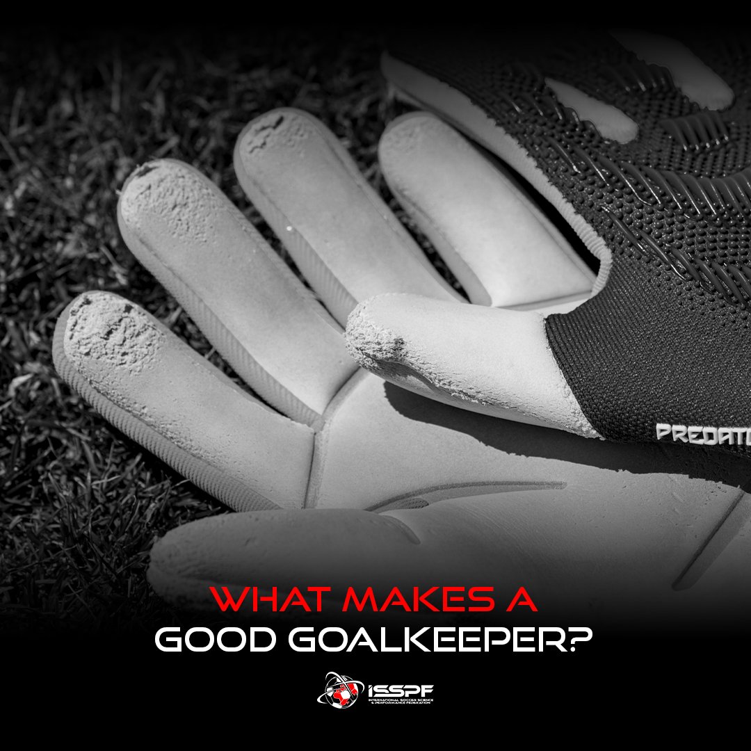 Off-Season Periodization for the Elite Goalkeeper